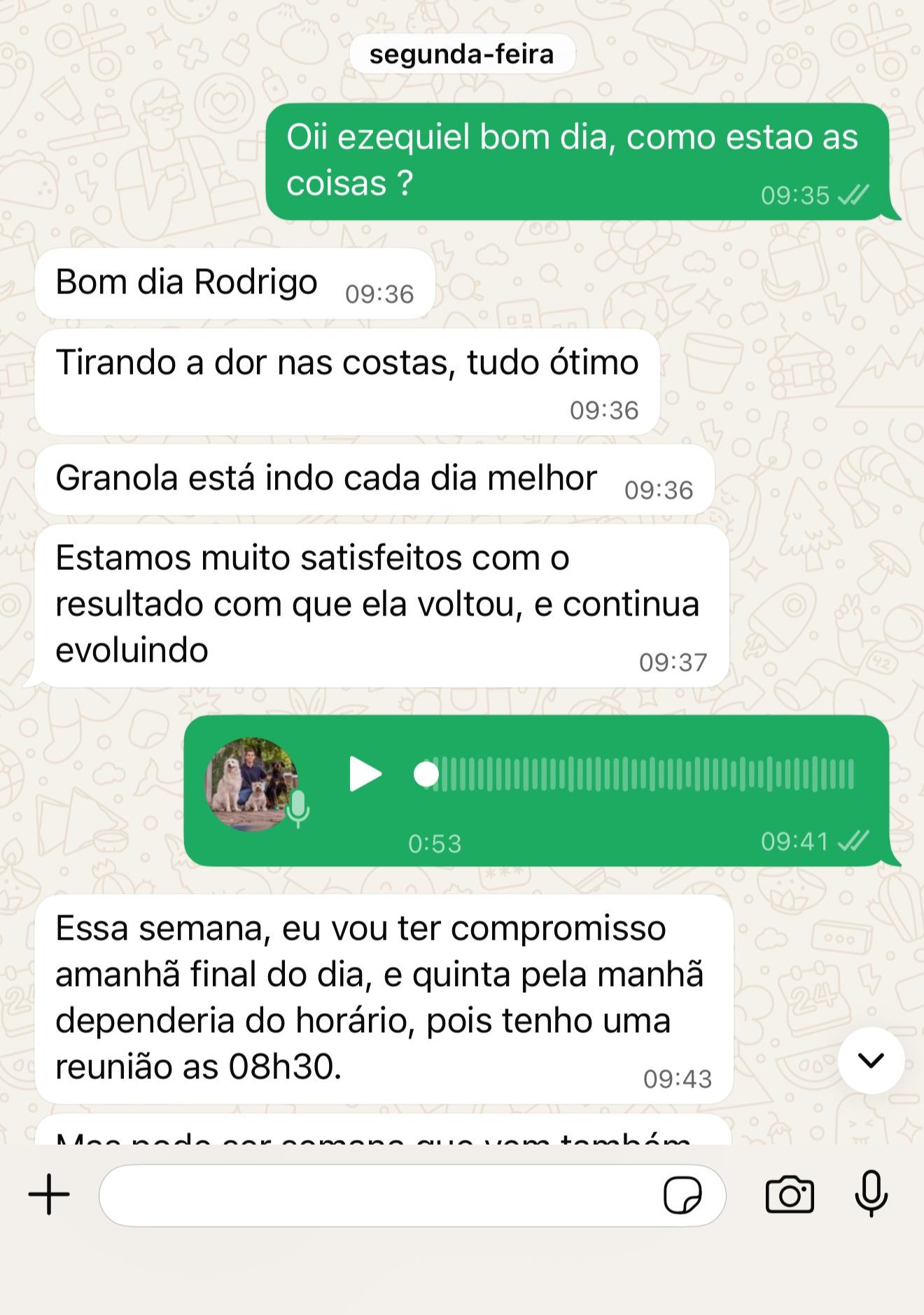 Conversa de tutor: Granola está indo cada dia melhor