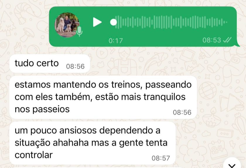 Conversa: passeios mais tranquilos, treinos seguindo