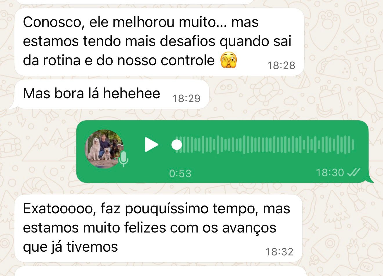 Conversa: ele melhorou muito, felizes com os avanços